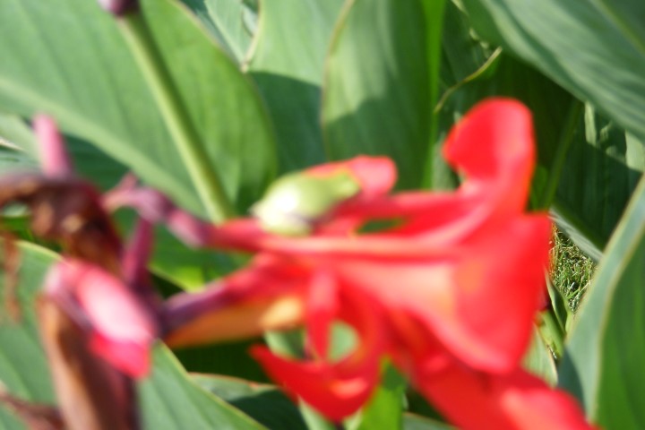 698x457 pixels (63K)